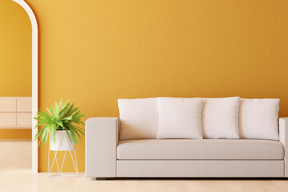 Modern living room painted with Amco interior emulsion